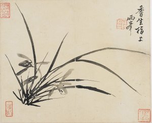 Landskap, blommor och fåglar: Orchid, Qing Dynasty, 1780 (bläck på papper)